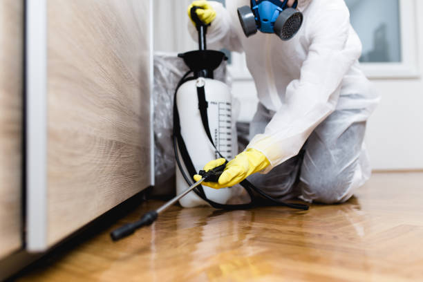 Best Flea Control Services  in Sweet Home, OR