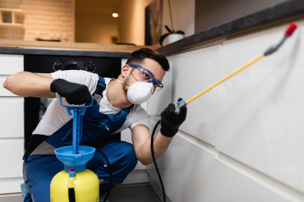 Best Emergency Pest Control  in Sweet Home, OR