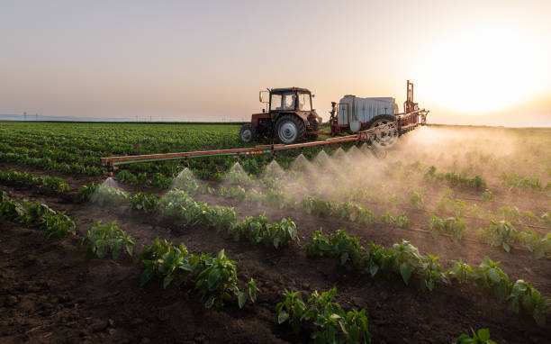 Best Commercial Pest Control Services  in Sweet Home, OR